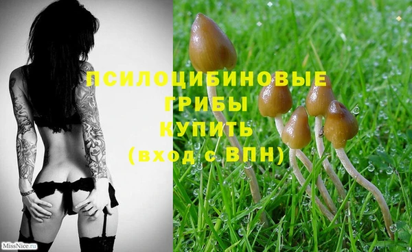 кокаин колумбия Елабуга