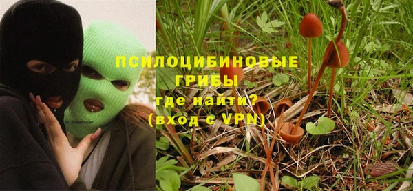 кокаин премиум Ельня
