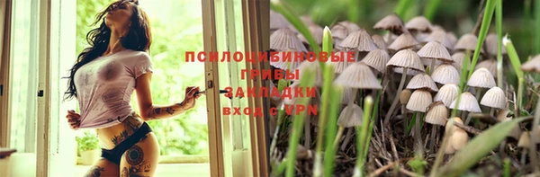 кокаин премиум Ельня