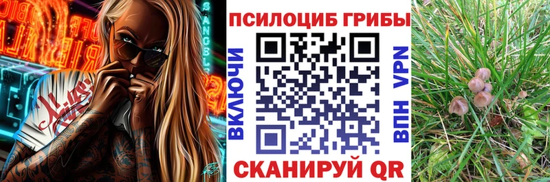 Купить где Соликамск Галлюциногенные грибы Cubensis